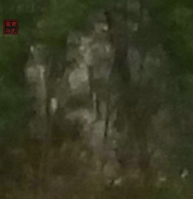 集体队标