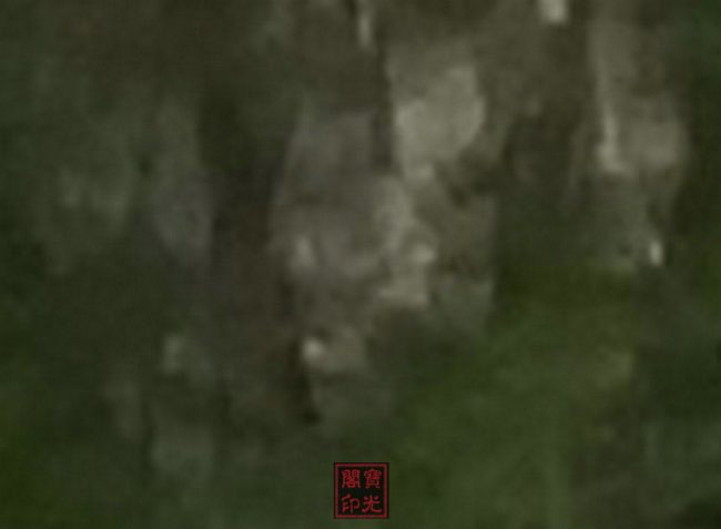 集体队标