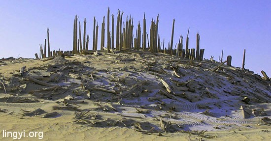神秘的“小河墓地”:小河墓地六大未解之谜