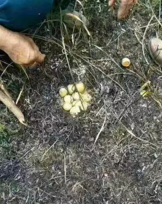 一些网友亲历的故事,看完不禁让人背脊发凉…