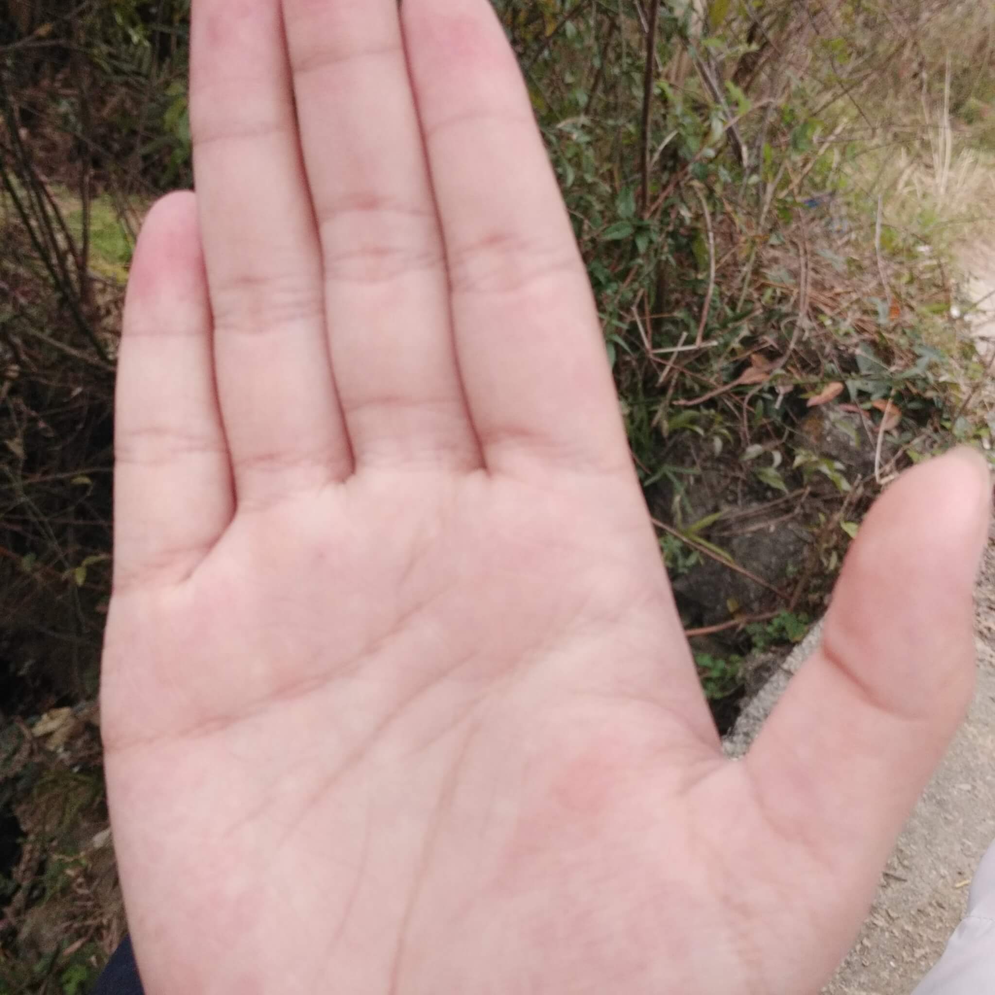 有人会看手像吗?