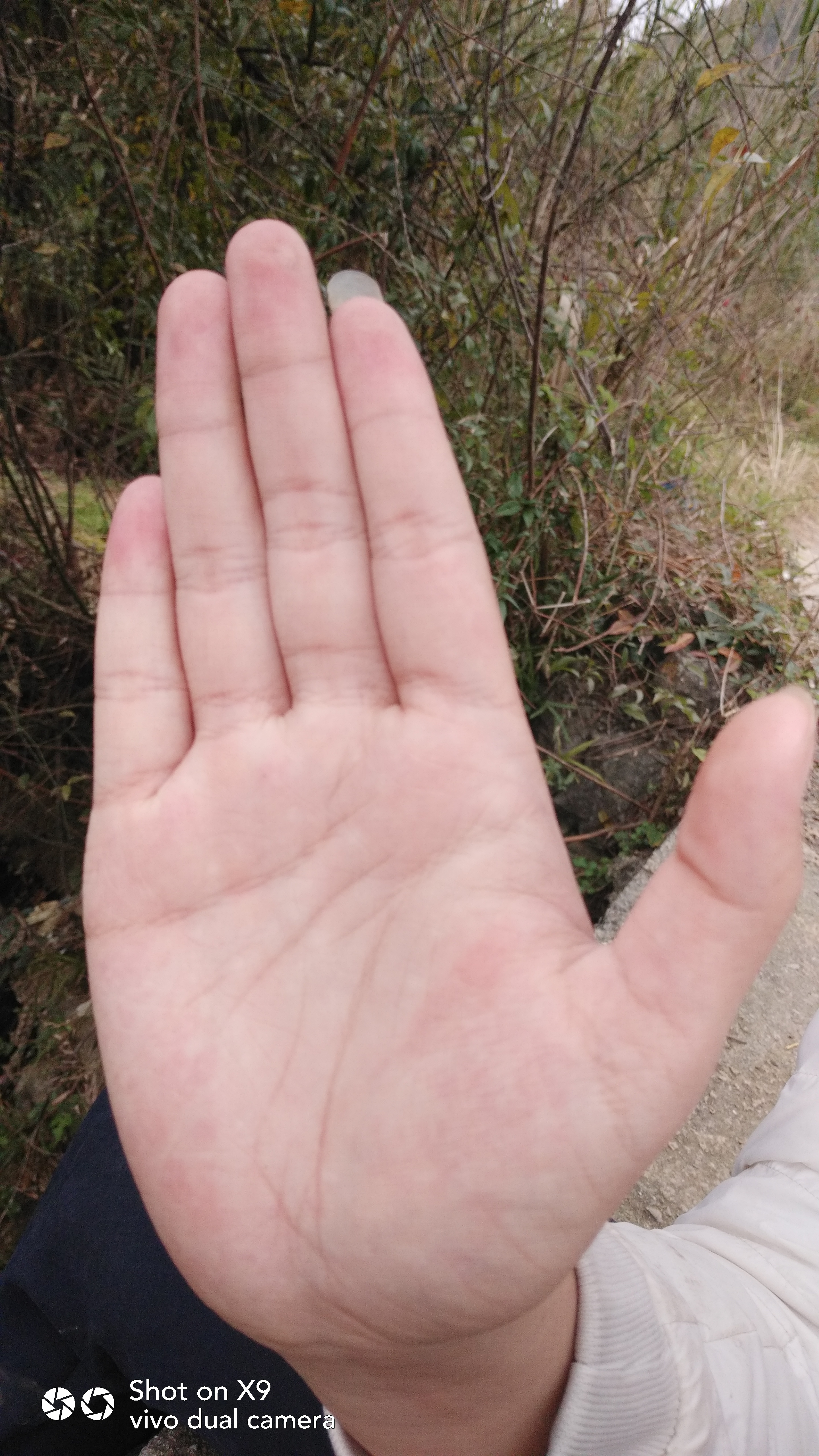 有人会看手像吗?