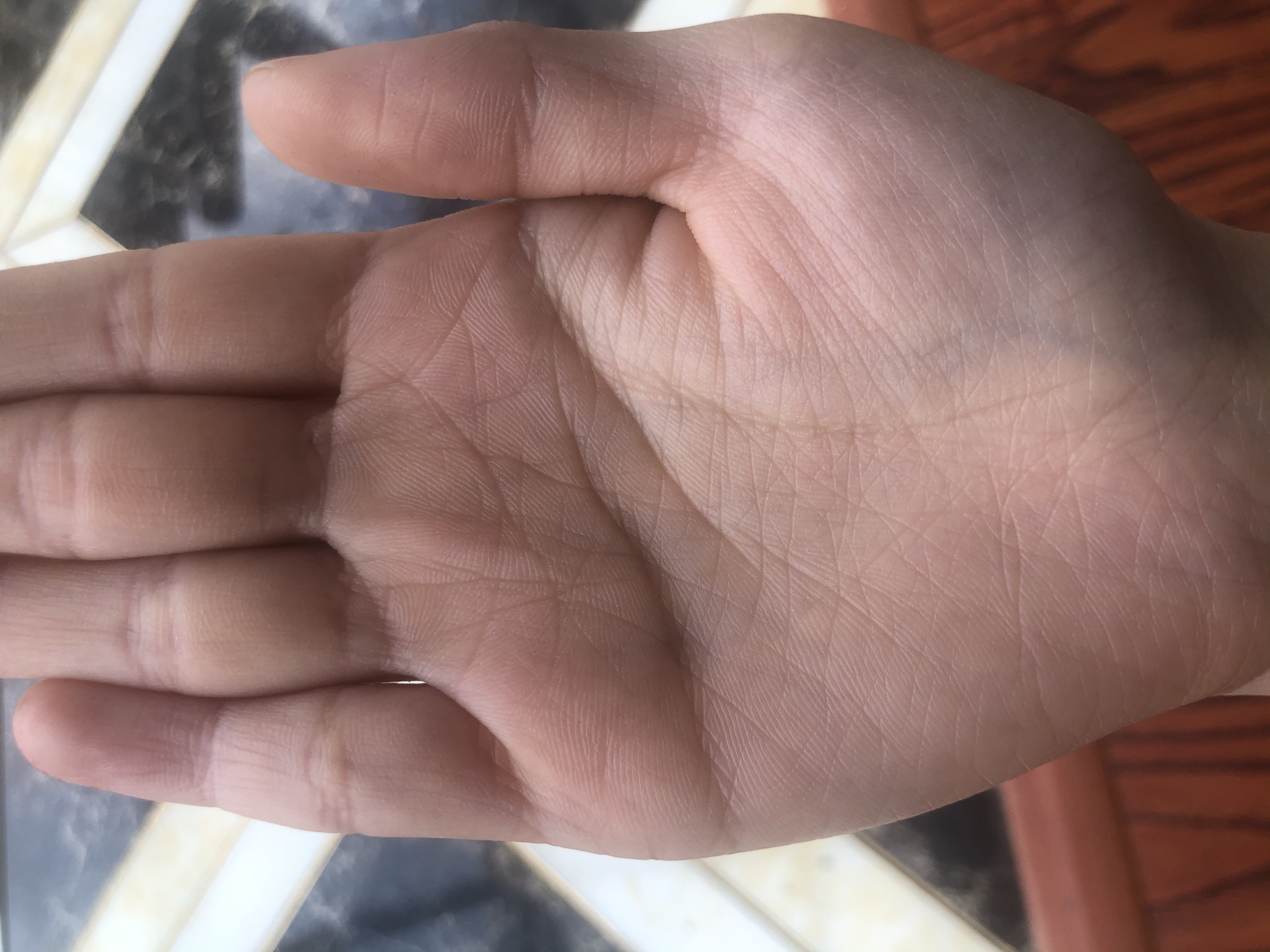 🈶️真正的大师吗?能看手相那种急急急