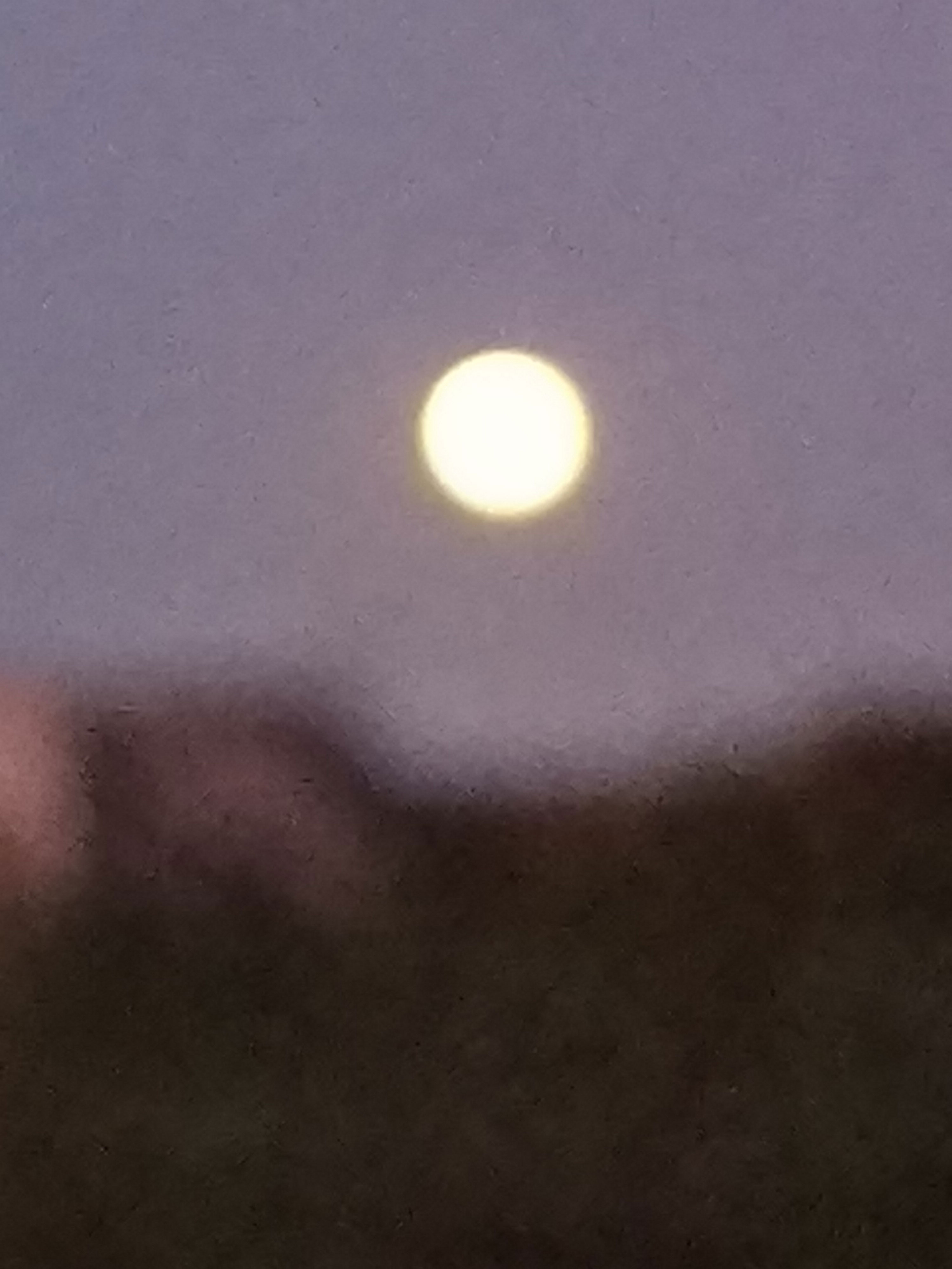 月光