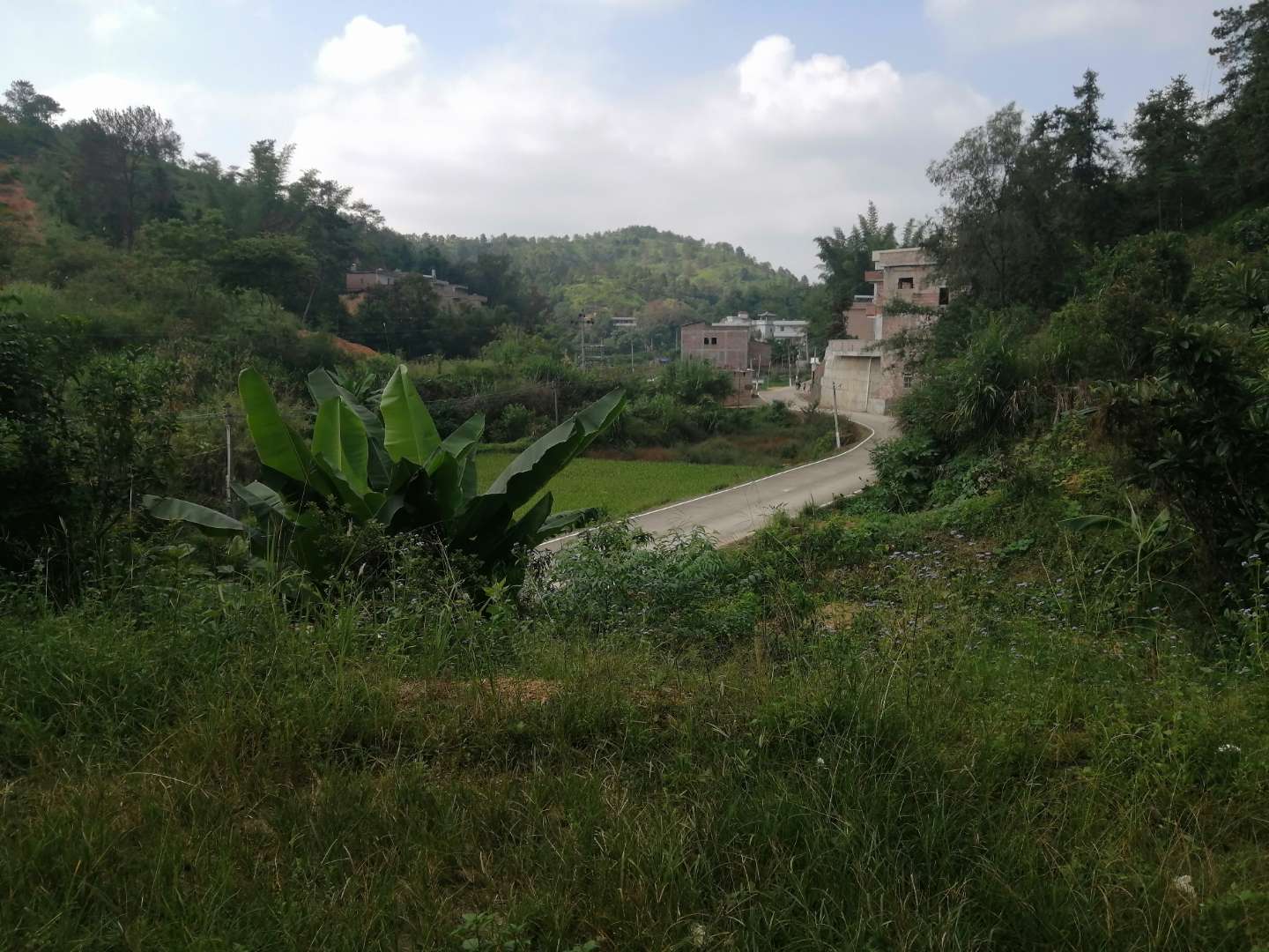 寿材