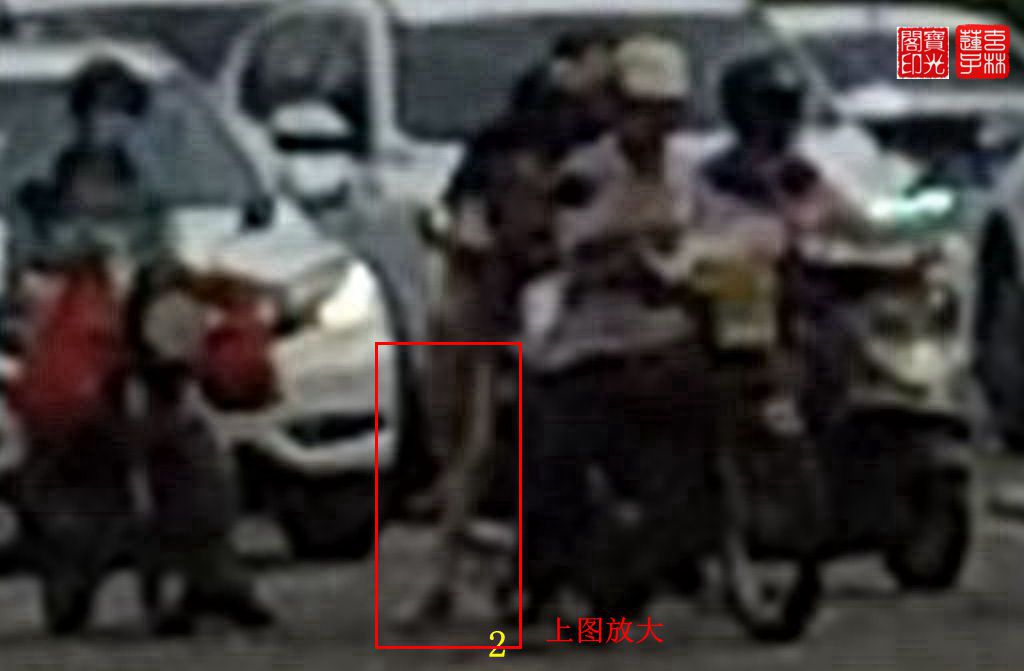 端午节日散拍
