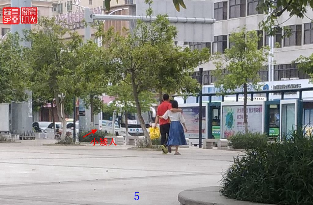端午节日散拍
