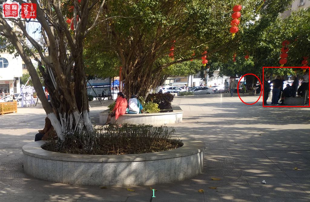 小公园灵物(三)