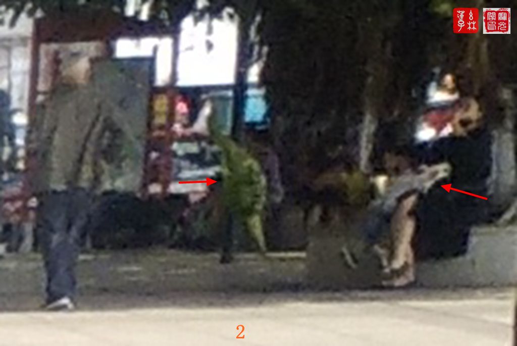 小公园灵物(三)