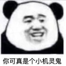 猫十七:写给喷子的话