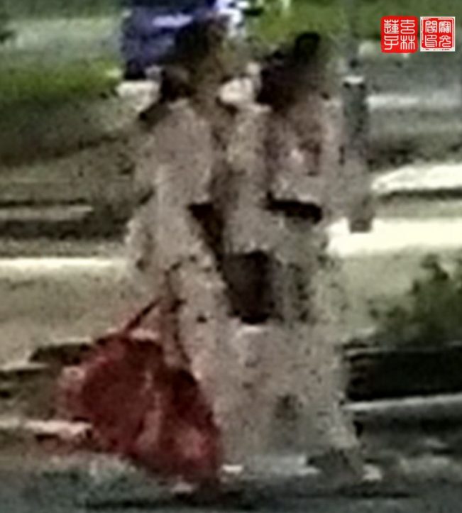 这两位女子是谁?