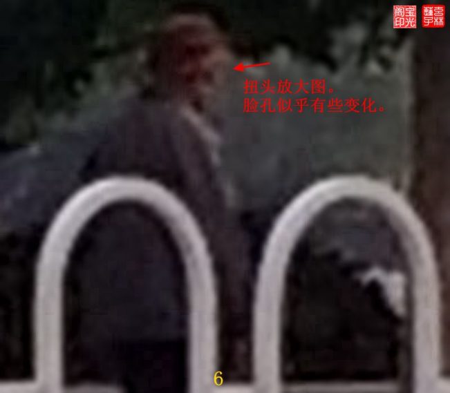 灵异照片:追拍黄犬精