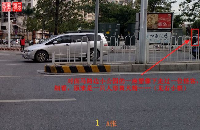灵异照片:追拍黄犬精