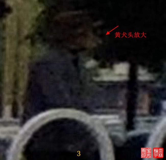 灵异照片:追拍黄犬精