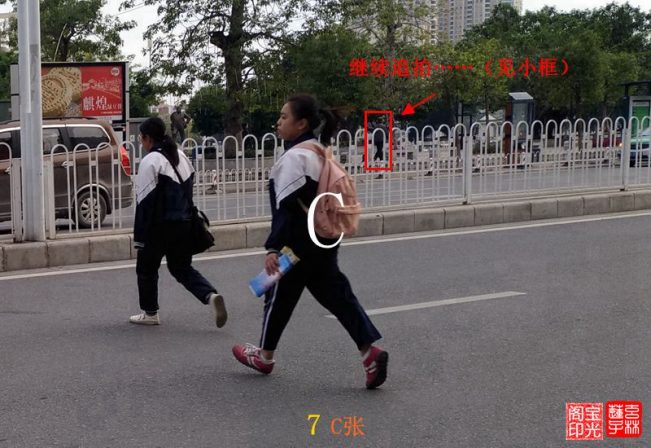 灵异照片:追拍黄犬精