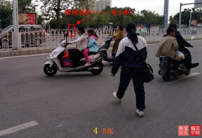 灵异照片:追拍黄犬精