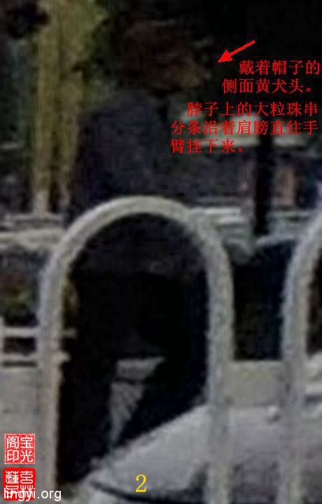 灵异照片:追拍黄犬精