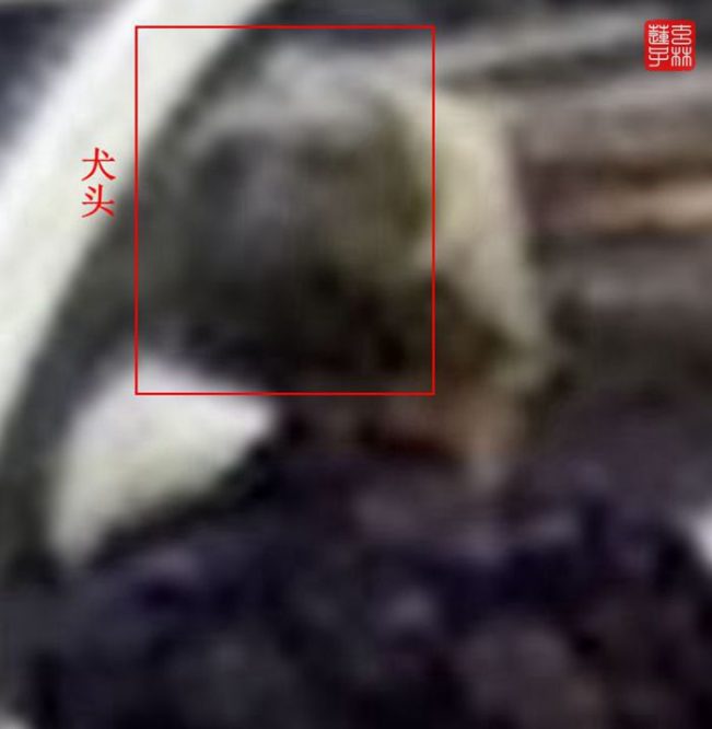 灵异照片:脸在项背的怪老头