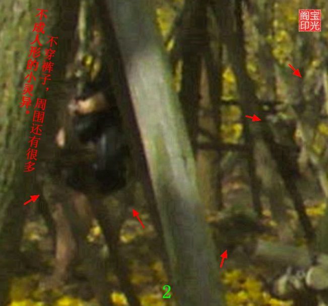 灵异照片:鬼魂也春游