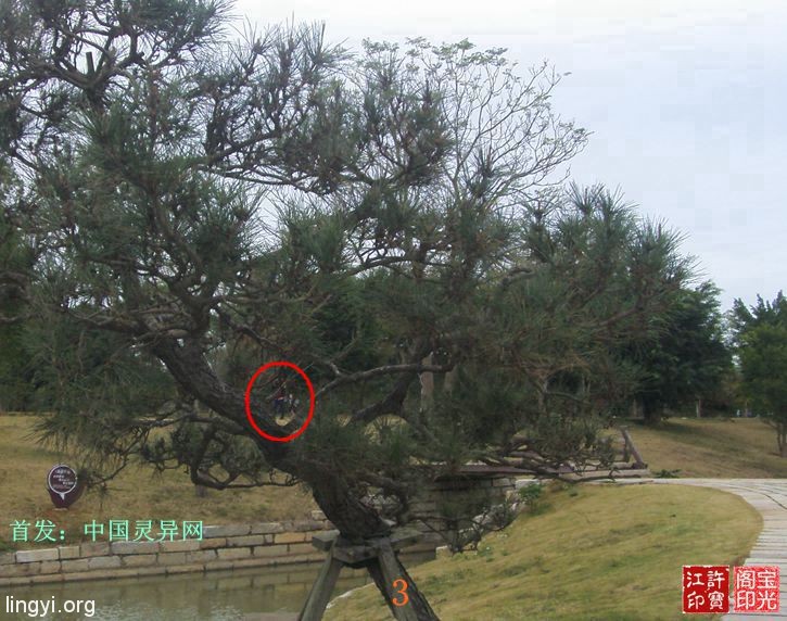 震撼:岭南圣母(冼太夫人)故里灵异特展(九)
