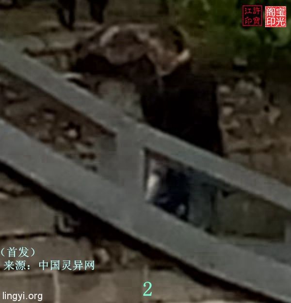 震撼:岭南圣母(冼太夫人)故里灵异特展(八)