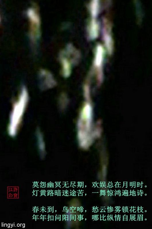 鹧鸪天·双灵舞
