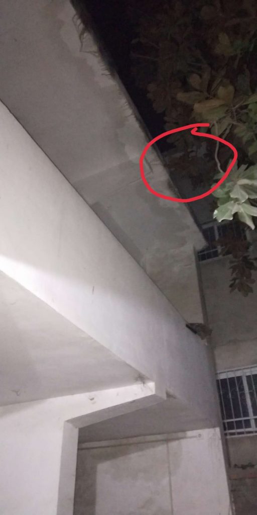 我好像拍到鬼了
