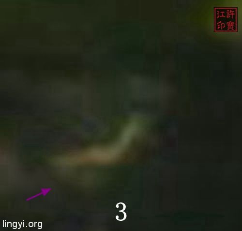 胶林猎奇(一)