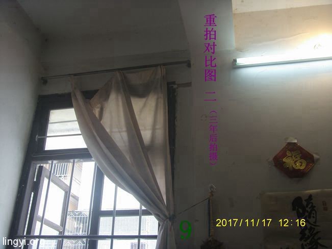 我书房里的灵异客