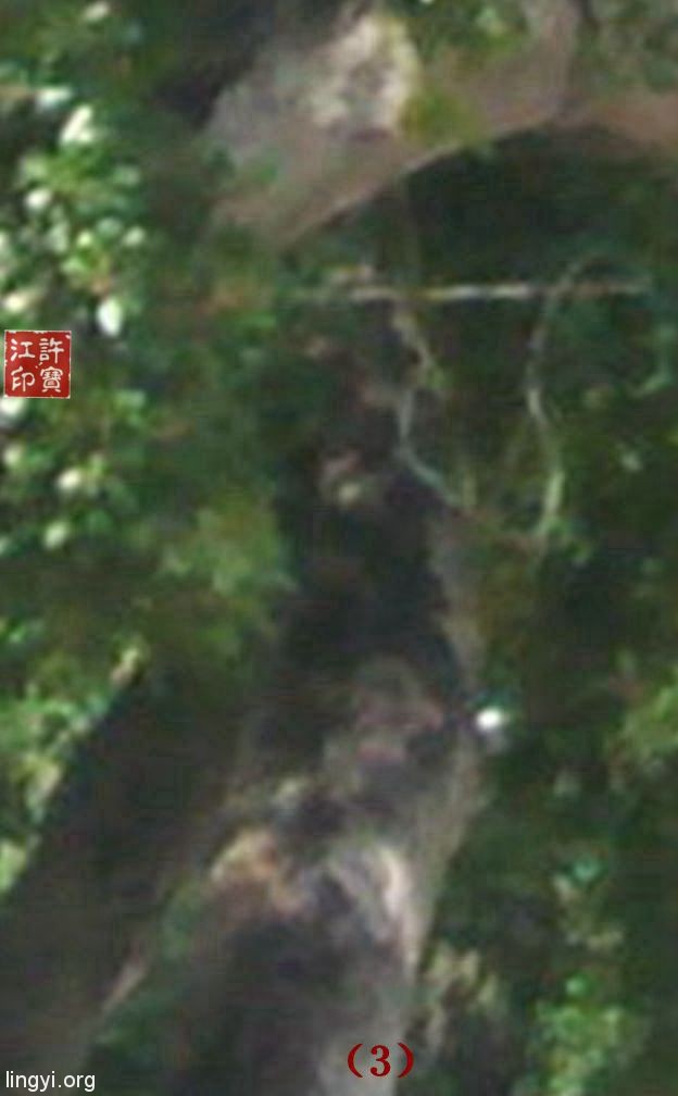 拍灵异照中的“死图”与“活图”
