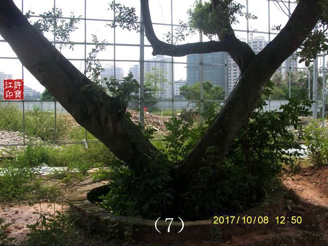 两个大女鬼及一些重拍照片对比