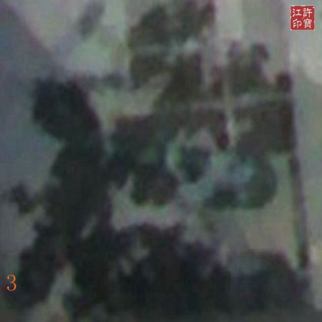 荒园就是乐园