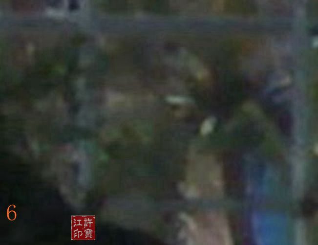 荒园就是乐园