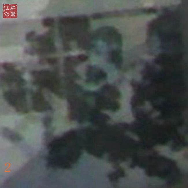 荒园就是乐园