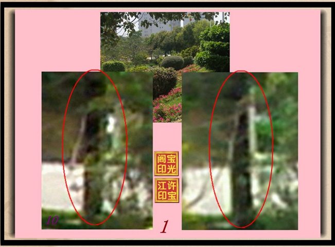 曙光农场自然生态园灵异拍摄之三:轻轻转脸、美人嘴