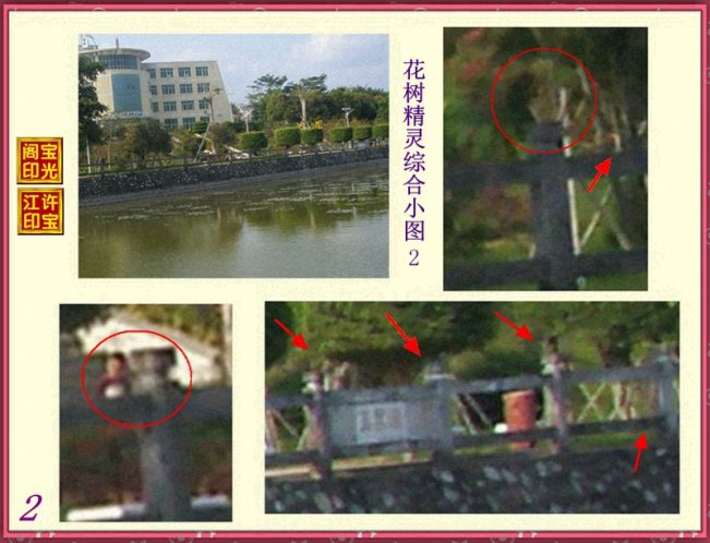 曙光农场自然生态园灵异拍摄之二:百态花树精灵