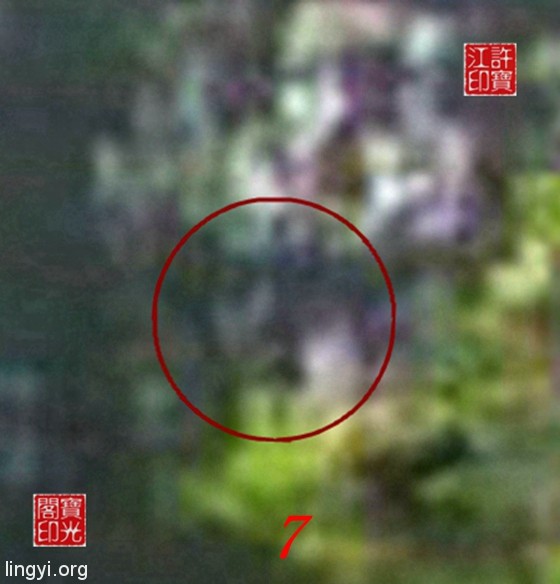 农场自然生态园灵异拍摄之一:快乐花仙子