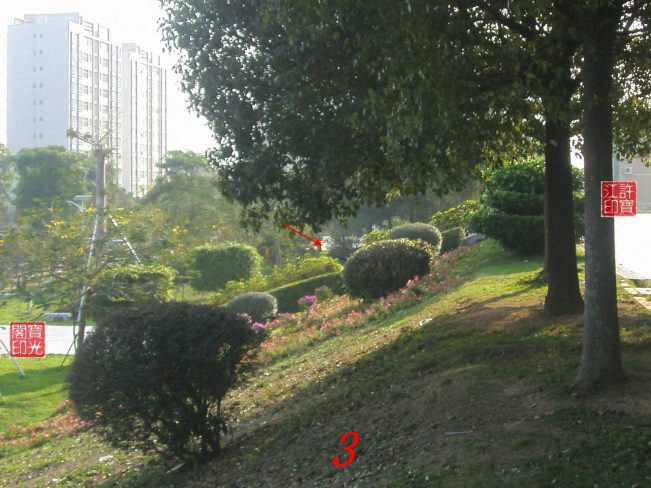 农场自然生态园灵异拍摄之一:快乐花仙子