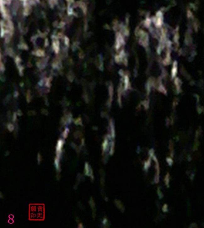 万灵大会(之二)