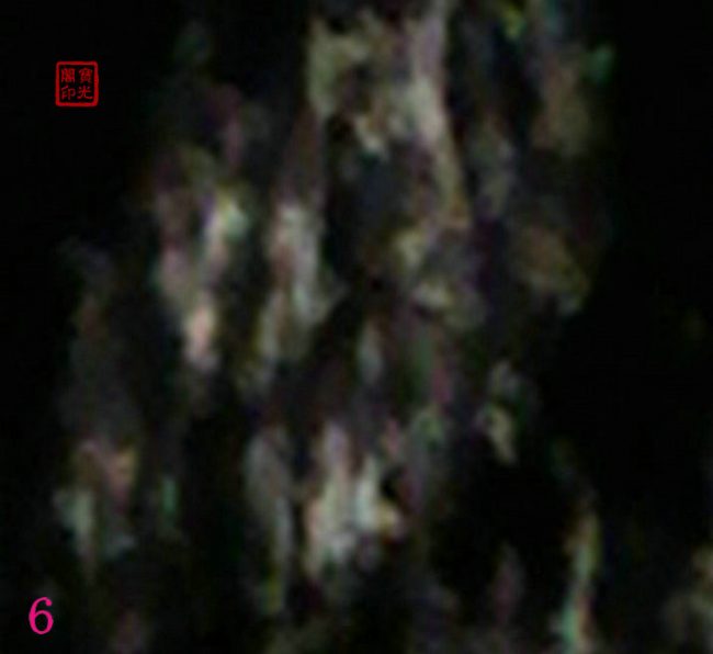 万灵大会(之二)