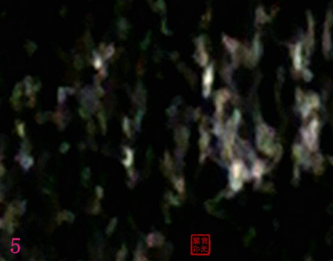 万灵大会(之二)