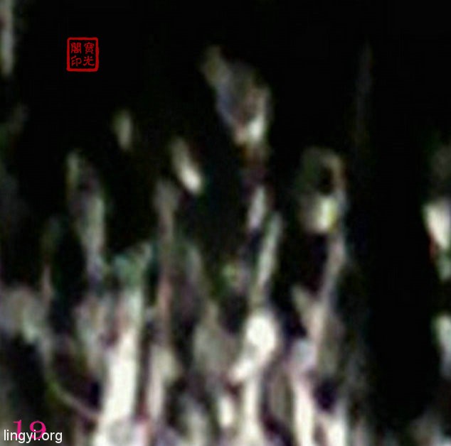 万灵大会(之二)