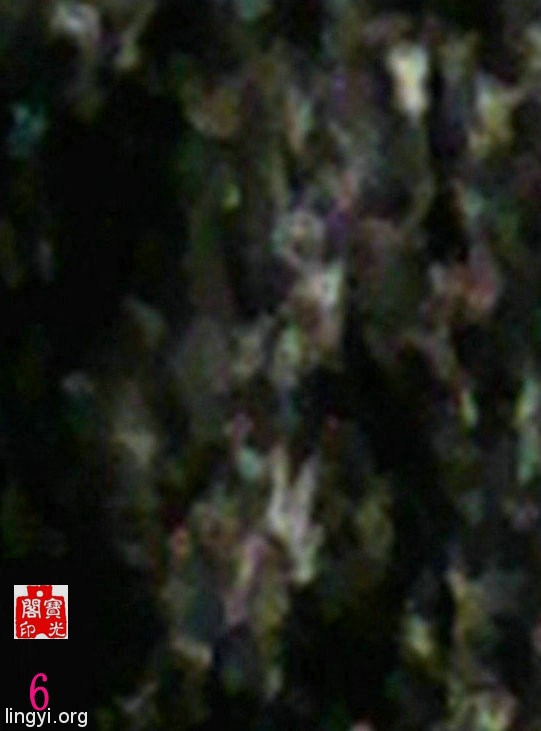万灵大会(之一)
