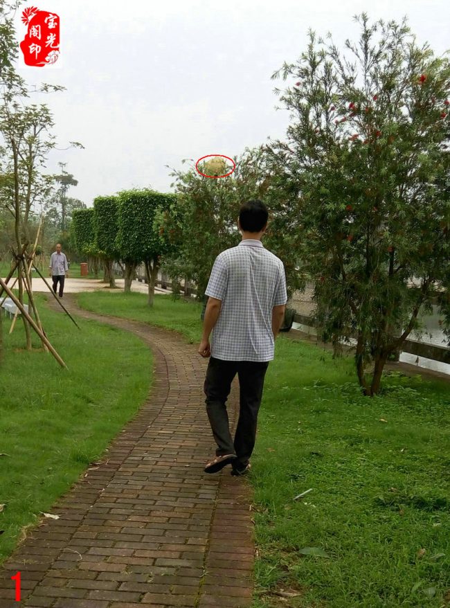 开心拍灵异,春风带笑回