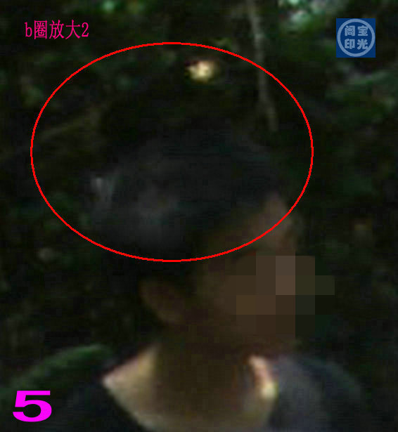 古墓之灵