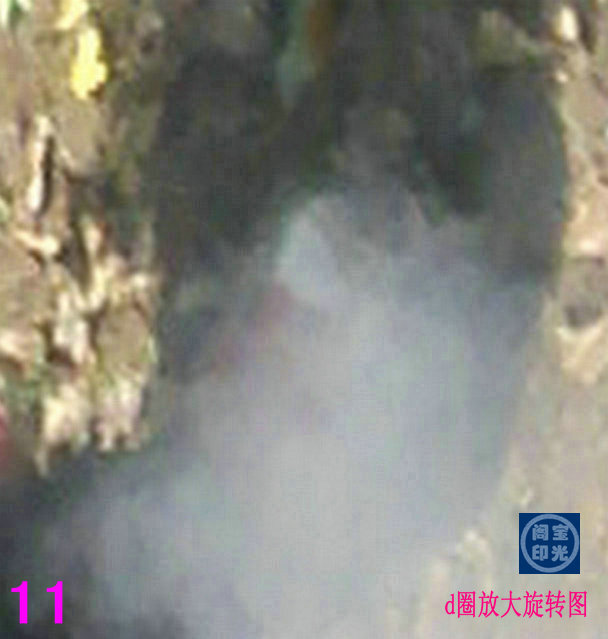 古墓之灵