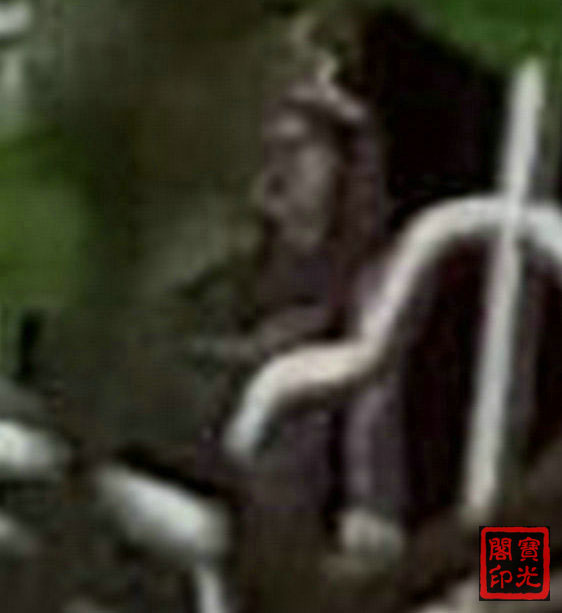 动物·女士