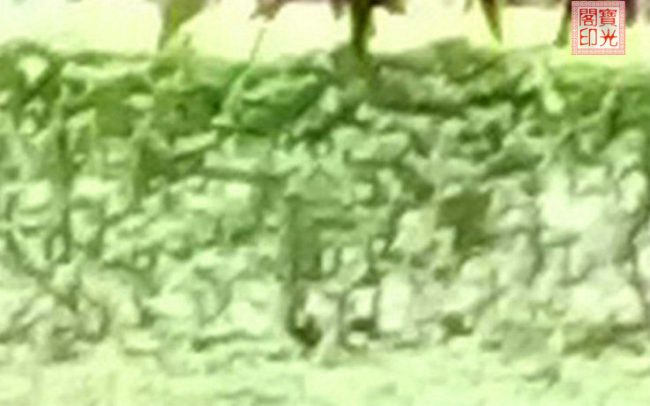 是灵族们的临时“合照”还是灵师大手笔的“浮雕”作品?