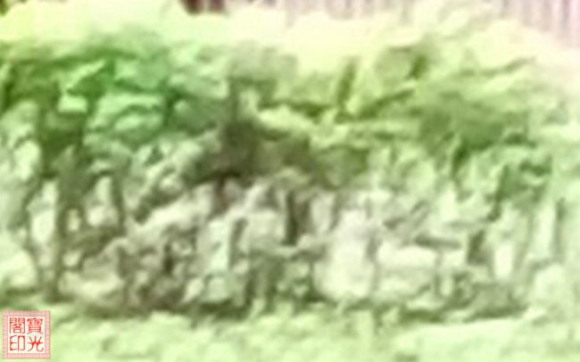 是灵族们的临时“合照”还是灵师大手笔的“浮雕”作品?