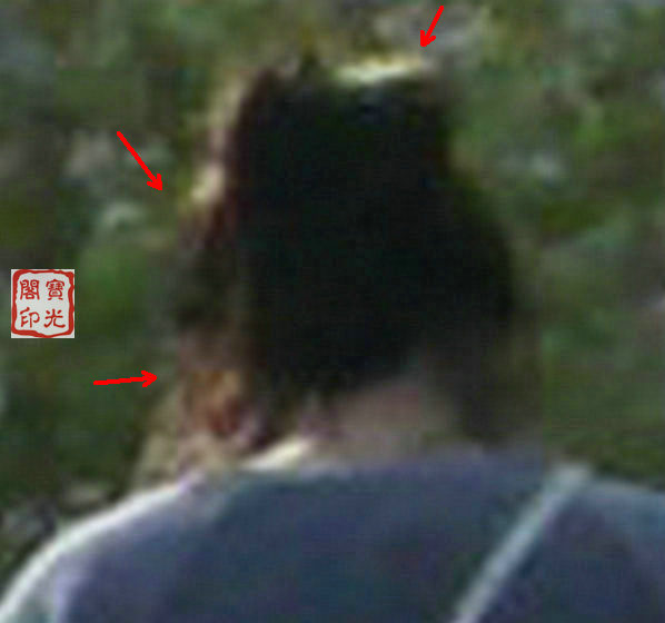 精彩灵异仙姑岭 之二:可爱山灵伴游程